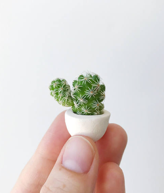The Tiny Cactus Company e-commerce branding and UX design