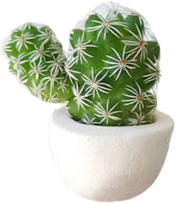 Charles the cactus mascot